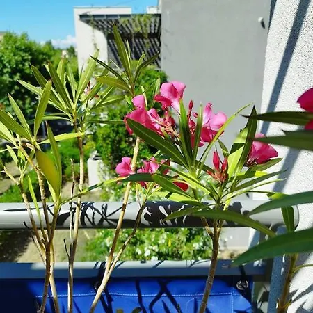 Appartamento T2 Cocooning Fréjus